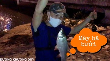 CÂU CÁ TRÊ SÔNG SÀI GÒN - CẦN CÂU MINI ĐẠI CHIẾN TRÔI ĐIÊN MẬP Ú | Dương Khương Duy FISHING 2020 #9