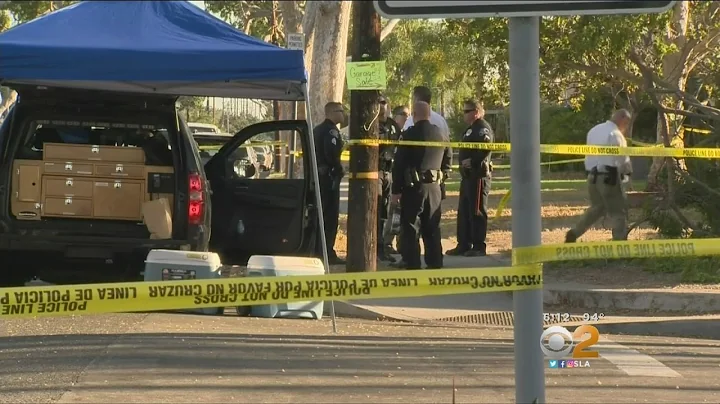 3 Arrested -- Including 17-Year-Old Girl -- For Tr...