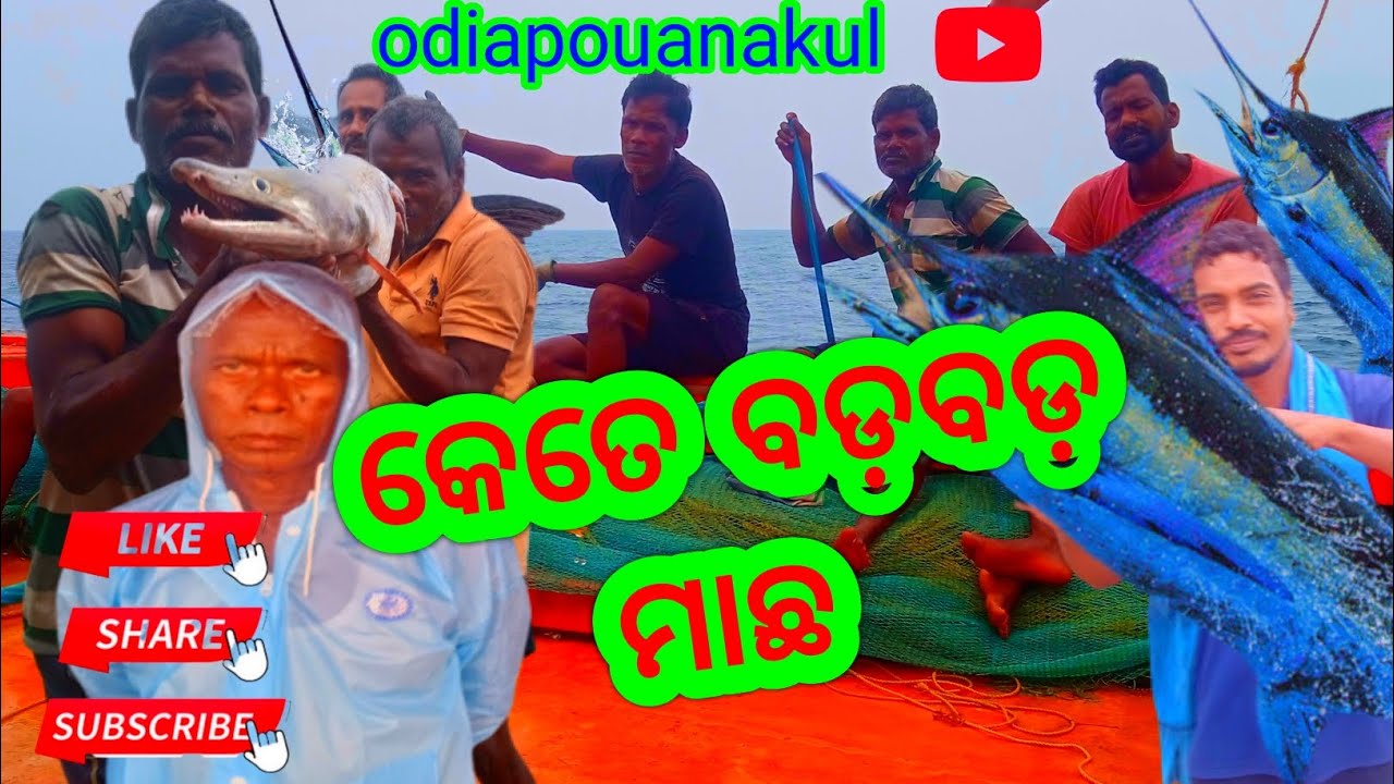 fishing video//fish video//ସମୁଦ୍ର ଭିତରୁ କେତ ବଡ଼ ମାଛ ଧରିଲୁ।। odia poua Nakul