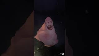 The blob stop motion animation #theblob #animation #stopmotion #clay #art #claymation