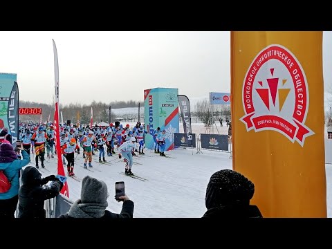 Движение – жизнь!