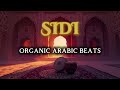 SIDI - Organic Arabic Beats (Modern Mezdeke &amp; Minimalist Club Mix)