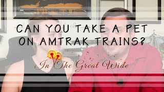 Can You Take A Pet On Amtrak Trains?