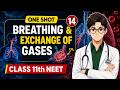 Breathing And Exchanges Of Gases in 18 minutes 🔥 | Neet 2026 One Shot|