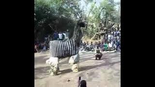 Gule Wamakolo (Chilembwe cha Mtundu wa Mbidzi)