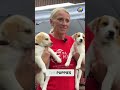 'Puppy yoga' helps to raise money for rescue, find forever homes