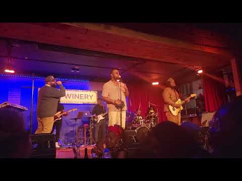 'Hamitones' - Tone3-