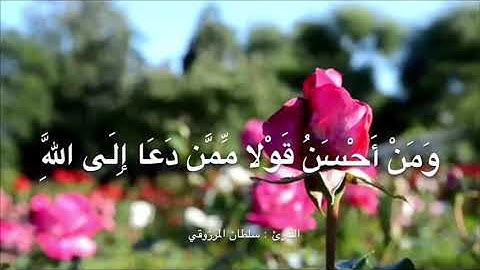 تلاوة خاشعة ما تيسر من سورة فصلت ، القارئ : سلطان المرزوقي