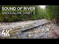 Forest River Calming Sounds &amp; Birds Songs, Snoqualmie River - 4K Nature Soundscapes - Part 2