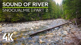 Forest River Calming Sounds & Birds Songs, Snoqualmie River - 4K Nature Soundscapes - Part 2