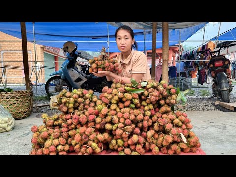 Harvesting forest rambutan goes to the market sell