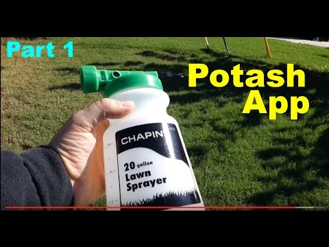 Video: Hvornår skal jeg påføre potaske på min græsplæne?