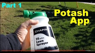 Part1: Adding Potassium or Potash to the Lawn