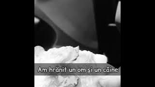 Videoclipuri triste (ep279)