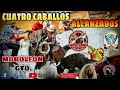 Cuatro Caballos Alcanzados Jaripeo En El Lienzo Charro Esquipulitas de Moroleon Guanajuato