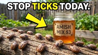 Ticks Will RUIN Your Backyard This Summer — The $3 Amish Method That Wipes Them Out Overnight