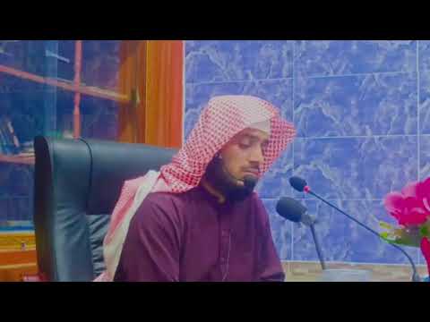حدر مقام البيات سورة مريم  01      الشيخ حذيفة المدني