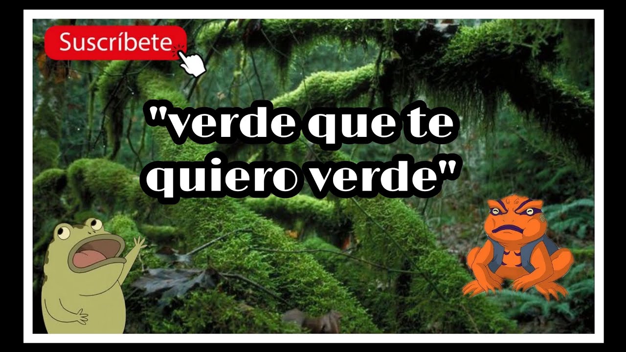 Como llenar y tapizar mi terrario de musgo