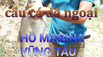 Câu cá dã ngoại Bà Rịa | Cá Mè Trắng siêu to tại Hồ Marina Châu Pha (Vũng Tàu)