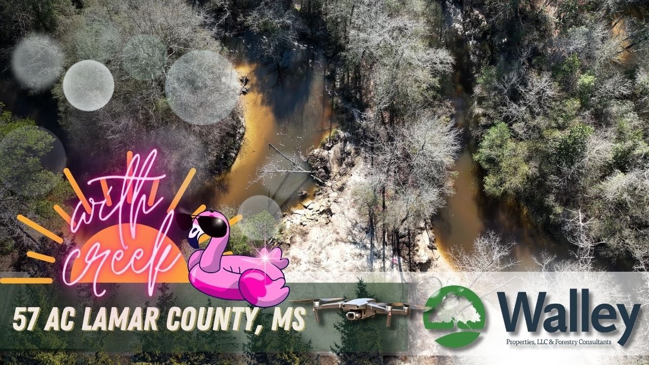Walley Properties 57 Acre Tract with Creek in Lamar County, MS