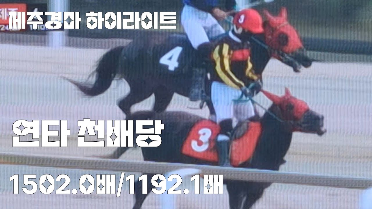 여윽시 제주경마답다! 연타천배당 아주 좋아!