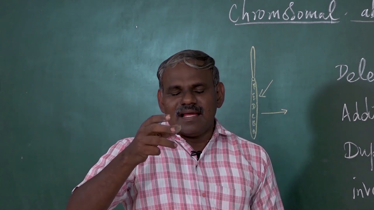 Chromosomal aberration - tamil explanation