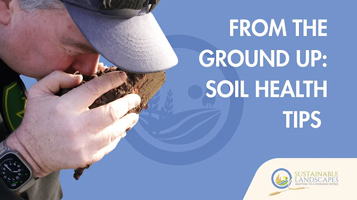 Graham Potter   Sustainable Journey