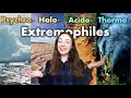 Extremophiles and Their Environments