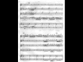 Miniature de la vidéo de la chanson Concerto In Sol Minore, Rv 105: Iii. (Allegro)