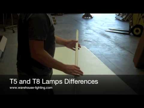 Video: Le lampadine t5 si adattano agli apparecchi t8?