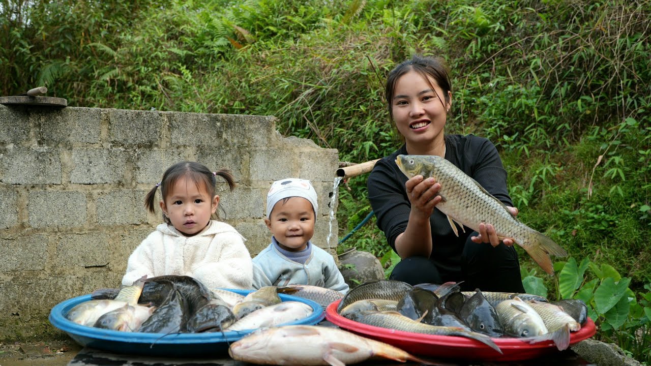harvest giant fish pond to sell at market - buy nutritious milk for sick little son