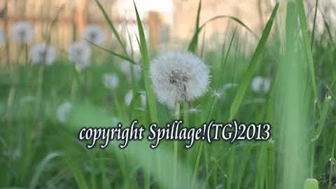 iMac Logic Pro 9 Express rough idea recording.