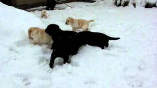 MVI_0200.AVI