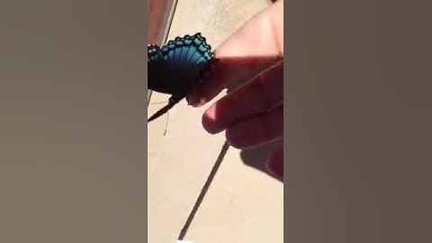 MagicBrad✨ ButterFly PROOF on book E2 (E-Squared) by Pam Grout