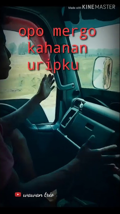 Story wa cidro versi truck mbois