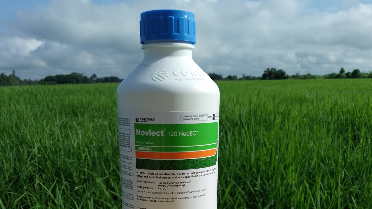 Subukan ninyo Ang Novlect mga boss Solve Ang problema mo sa palay mo.