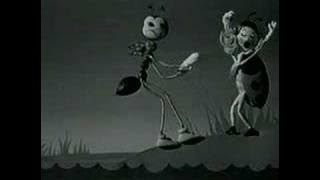 Argema-Láska pro jednu noc