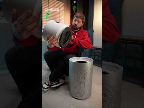 Делаем воздух в квартире максимально чистым