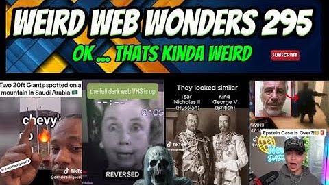 weird web wonders 295