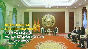 Đoàn công tác của tỉnh TN thăm và làm việc với Đại sứ quán Việt Nam tại Trung Quốc | Thái Nguyên TV