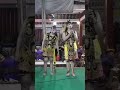 Haryo Laras #wayangkulit #wayangkulitindonesia #jaranan #campursari #dangdut #ndadi #budayajawa