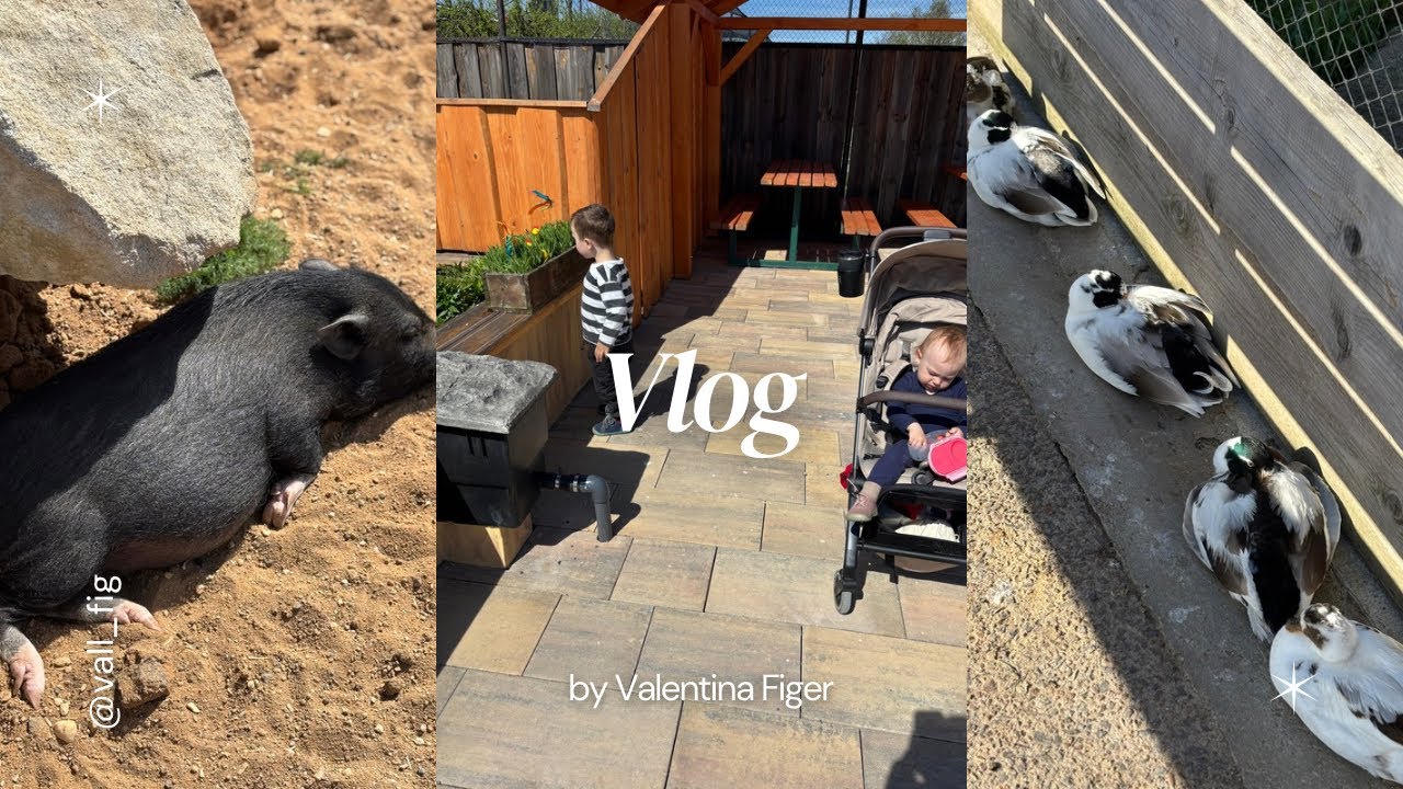 Zoopark Nehvizdy Vlog