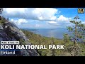 Beautiful finnish national landscapes  walking on the top of koli national park