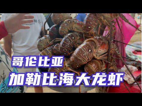 小姐姐下厨烹饪加勒比海大龙虾，一个人的海外旅行生活有滋有味Lobster in Colombia Caribbean