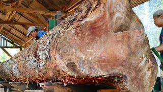 Large Reddish Brown Wood Cross Section at Sawmill