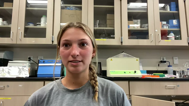 Flue-Gas Desulfurization Model Experiment