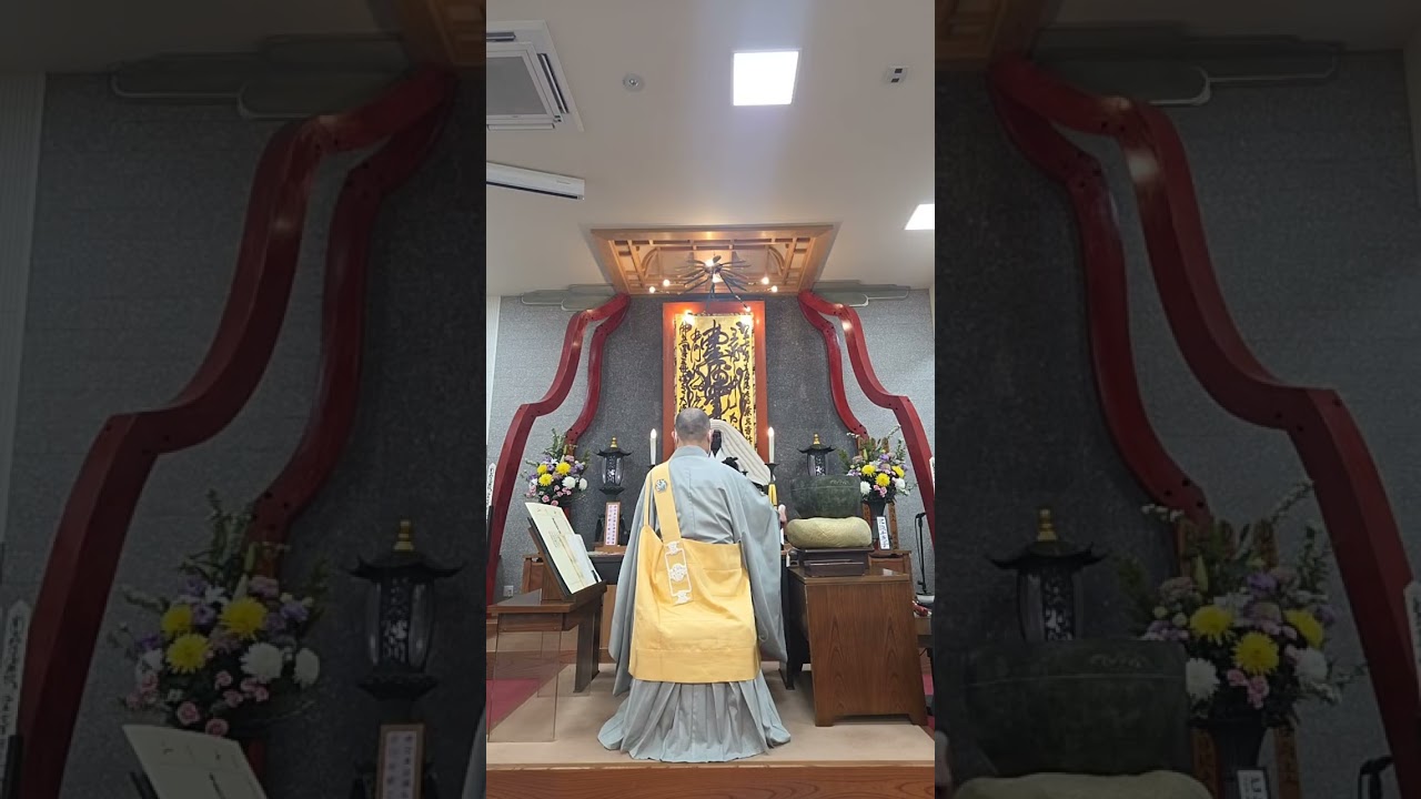 ライブ ハイライト #南無妙法蓮華経 #妙應寺 #shorts  #live