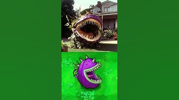 PVZ Plants in real life #plantsvszombies #funnyshorts #pvz #gaming #funnymoments