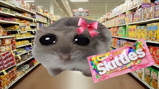 Skittles Meme Sad Hamster