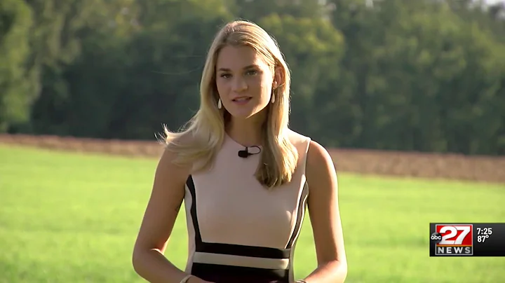 Aimee Lewis Digital Reporter Reel - FOX31